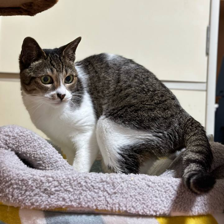 40adafa8 1b53 44a4 81a6 9a5558cf2835 1683684881363