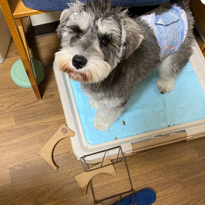 40add5ac 9ba4 46d6 ab95 4ff69f0f96bc 1576238822754