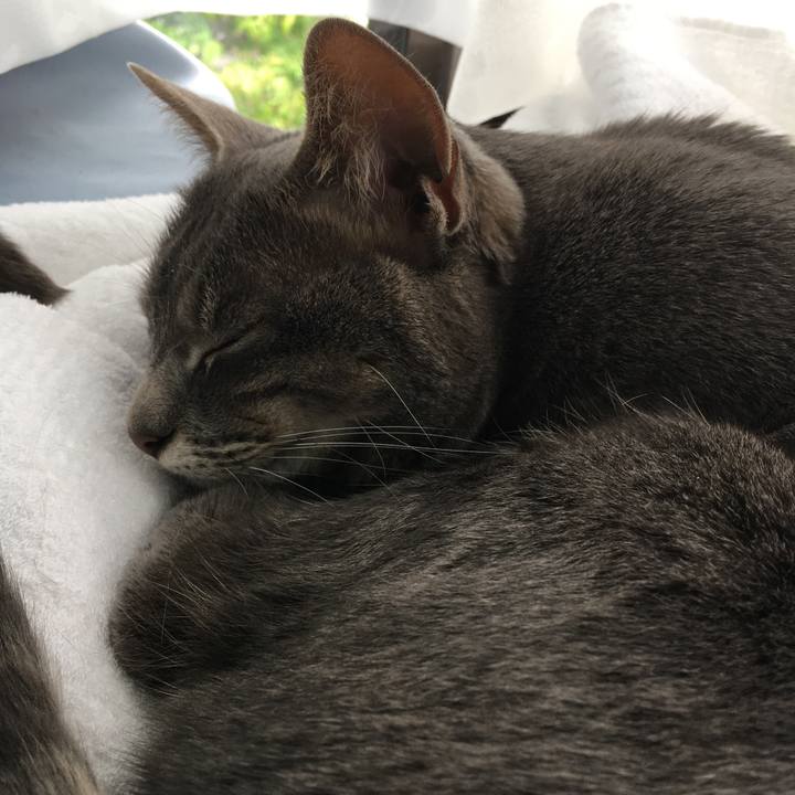 40ae00c1 c798 4fda 859b b1b0107d760a 1590121041354