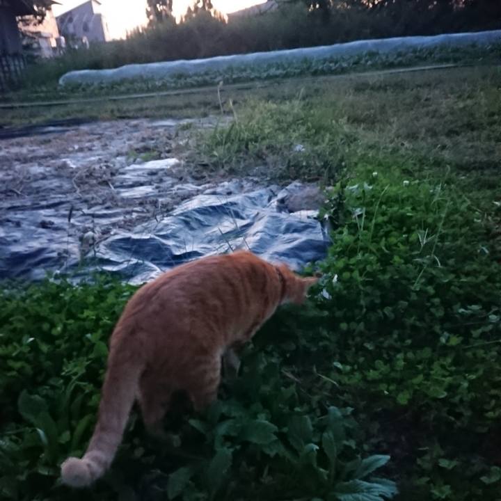 40ae06e4 0d29 45da 9985 fbad75e0577d 1569575312292