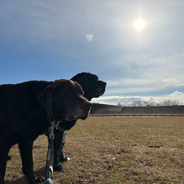 40ae0eb1 9ca5 4b6b 8375 acb1a334bc7b 1769339726464