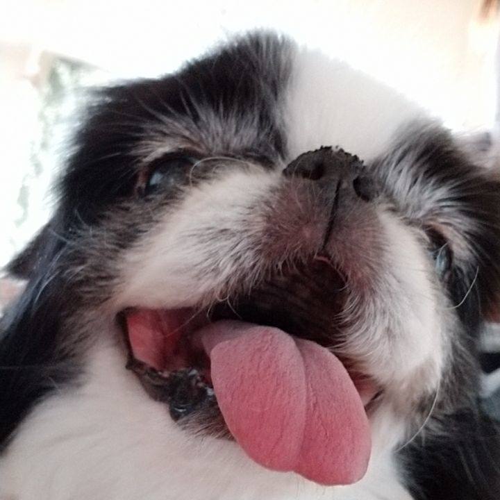 40ae564e 9bb1 46ca 82ea 95730e9d5207 1523181018683