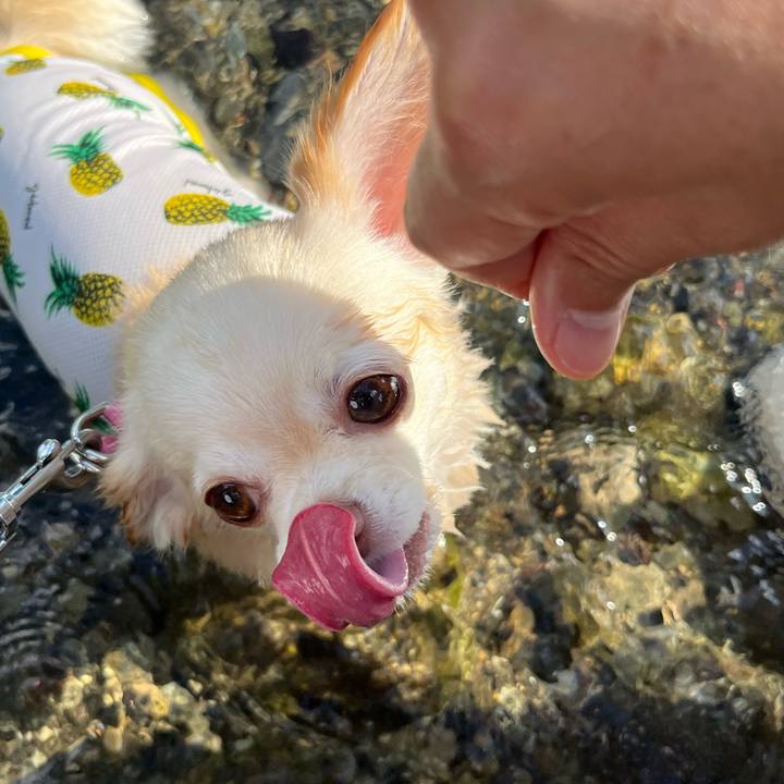 40ae5fd5 bca2 420b 86b6 4762aa05636d 1723731903298