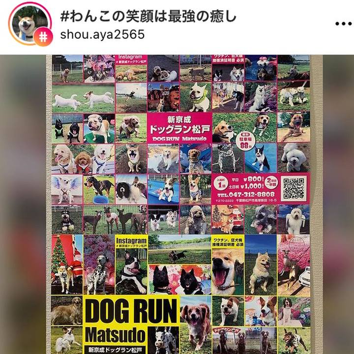 40af33be 6585 415a ad00 c24e5bb04597 1640411552415