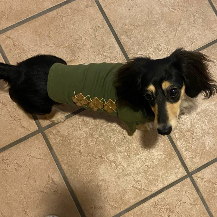 40af64e2 0cf2 43bb a1d8 96d8590f3218 1706684645774