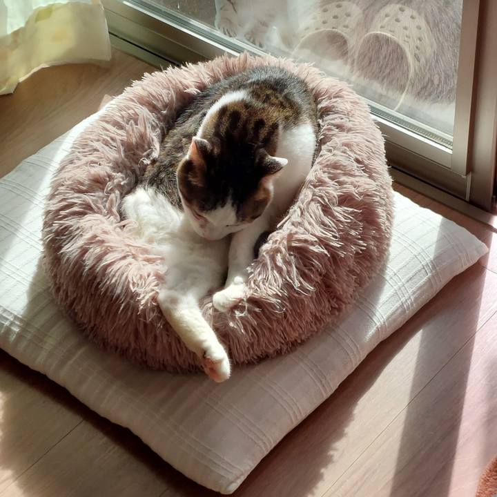 40afc991 5a94 4017 8135 b013c0870d94 1729988711311