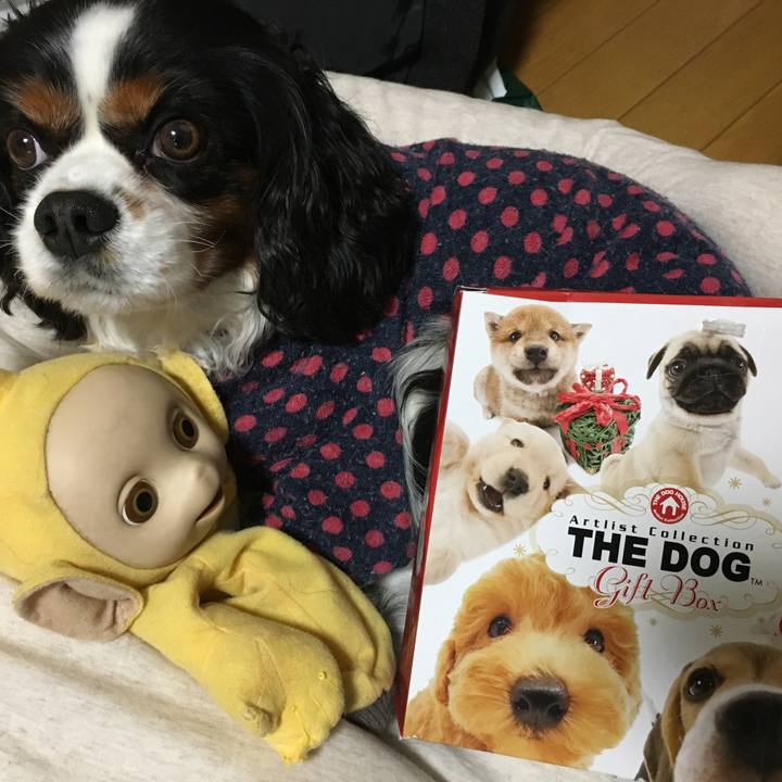 40afda60 2d30 4e26 baea 99221a3c9e85 1515844027632