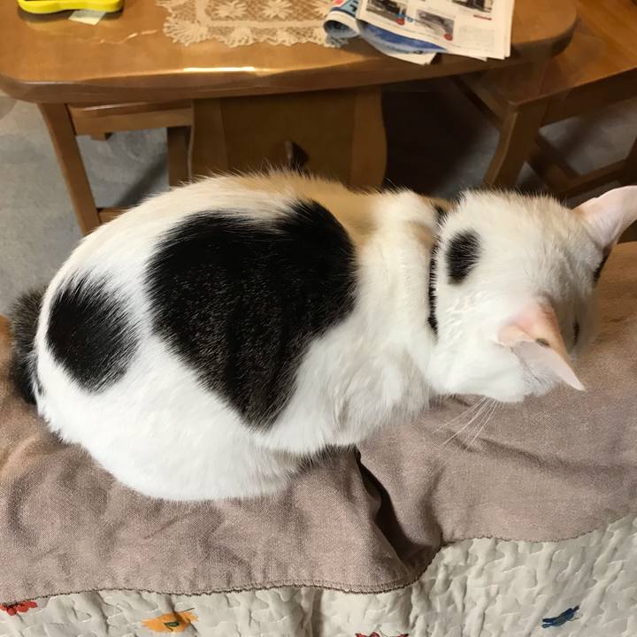 40aff26e 3821 441d 80ca 460a87e3d6ba 1583752402174