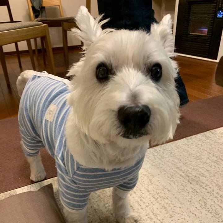 40affead feea 4de4 afb0 b868d719212a 1634469282316