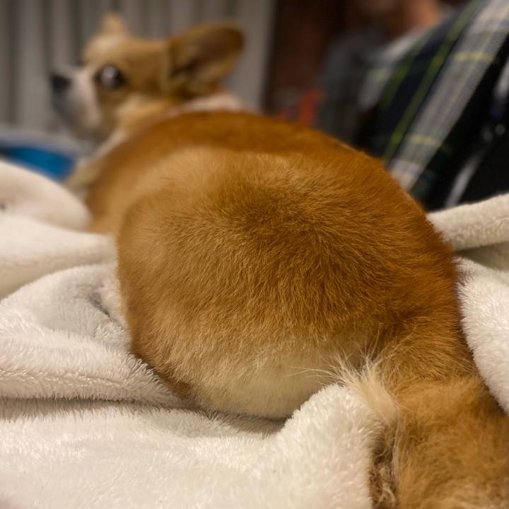 40b00599 f1c2 4307 83bf c9c4a9cfddef 1736173017980