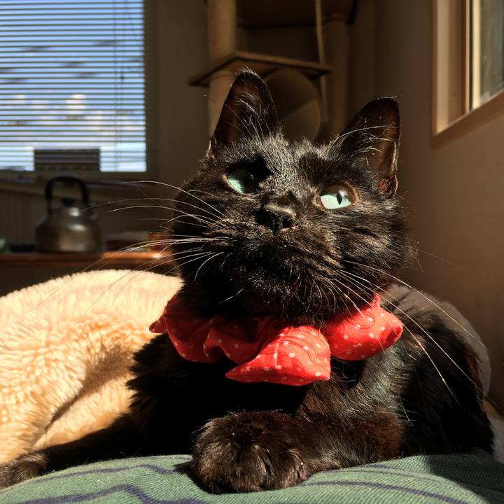 40b0262a 8c83 4180 9191 b90c67b630a3 1556844046308