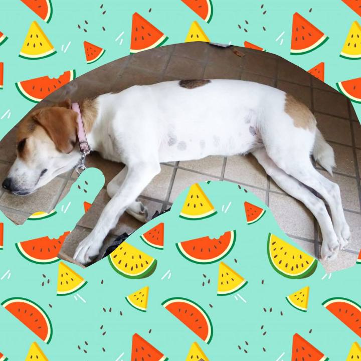 40b0288a e3ad 4ebf 966b 501668e9aba6 1597214807495