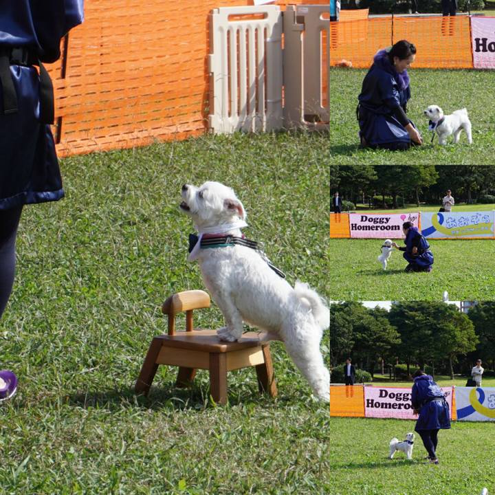 40b02b7d 954d 49e6 842b 9adf91677c85 1572742889758