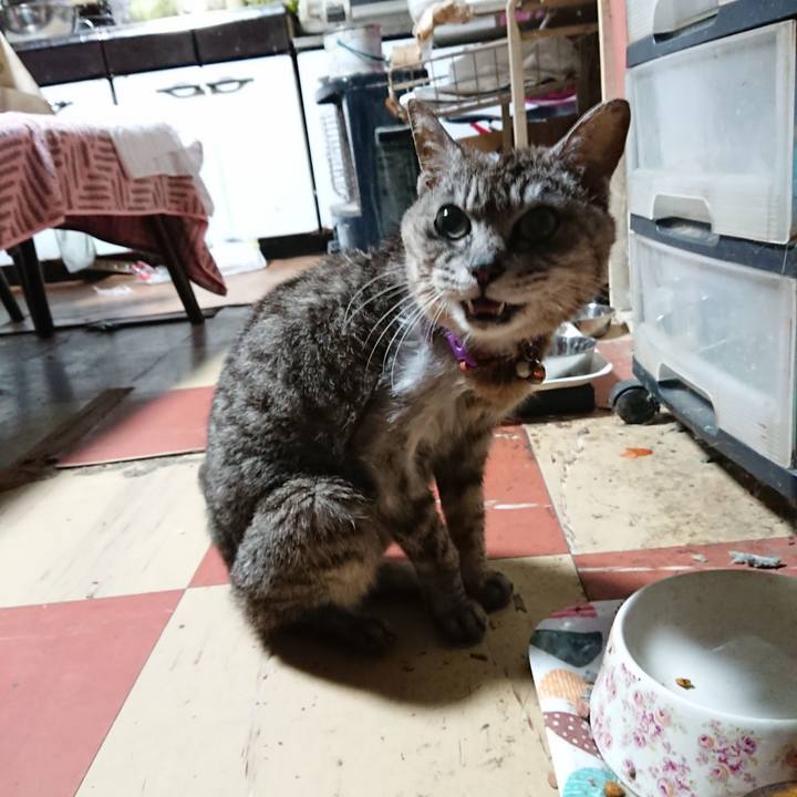 40b0a0e4 8781 4b61 ae57 6057d648646b 1594669698885