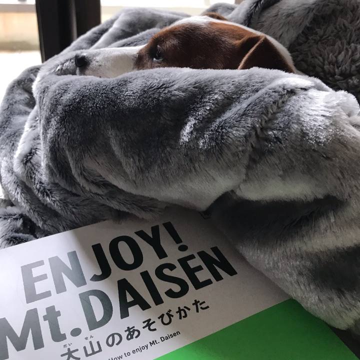 40b0b908 f175 42c8 a2ab 77f0b9efa850 1679308058755