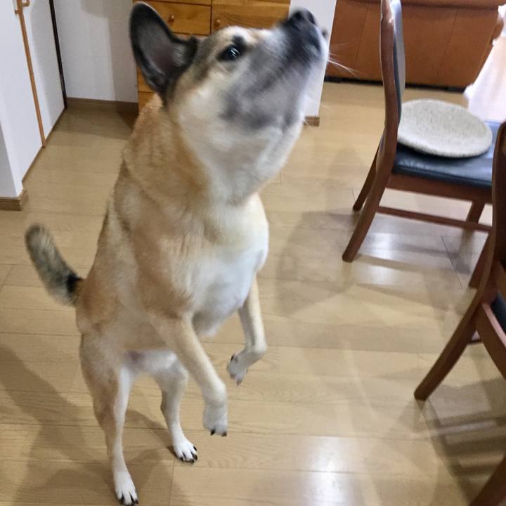 40b0c313 fb22 4ddc 8ade 9ff1a4472680 1547885203148