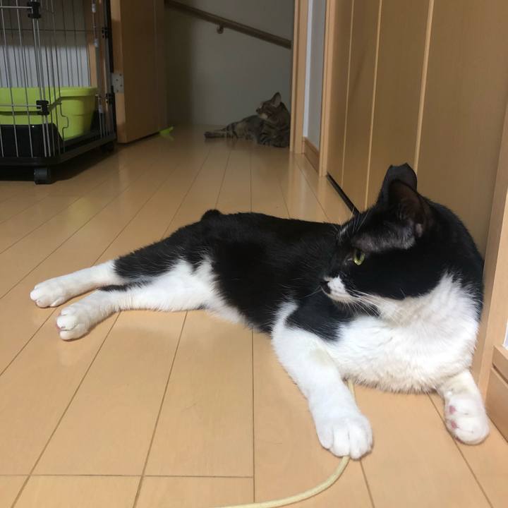 40b0d2af 3656 4db7 92ff 89730c0d276f 1598386595296