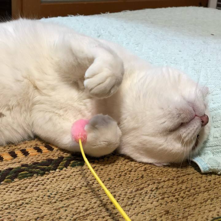 40b0da2c af7b 4d0c baef 3fa983872ec9 1539434546698