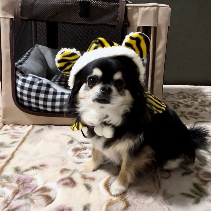 40b0eea2 134f 43bc 9509 a78b3e12b1a3 1715424859001