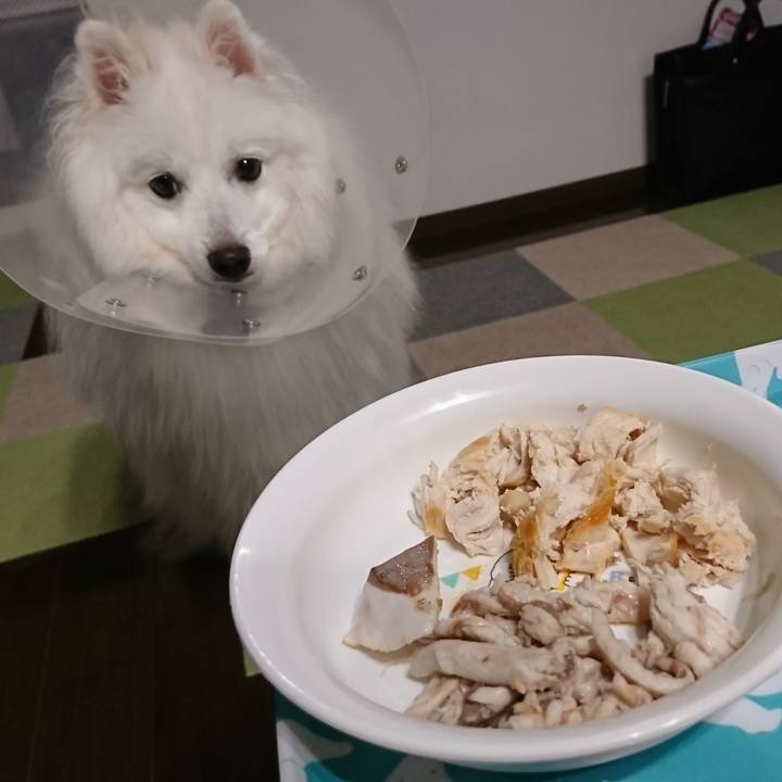 40b0ef7c 3391 459c be30 725a0040a77e 1572172962886