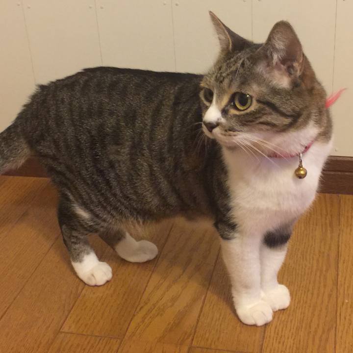 40b0fc38 e03e 4a18 95fe 99f22dbaf193 1559397106009