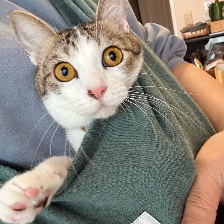 40b1074d 793b 4377 84a9 ad4e92719e31 1772424191184