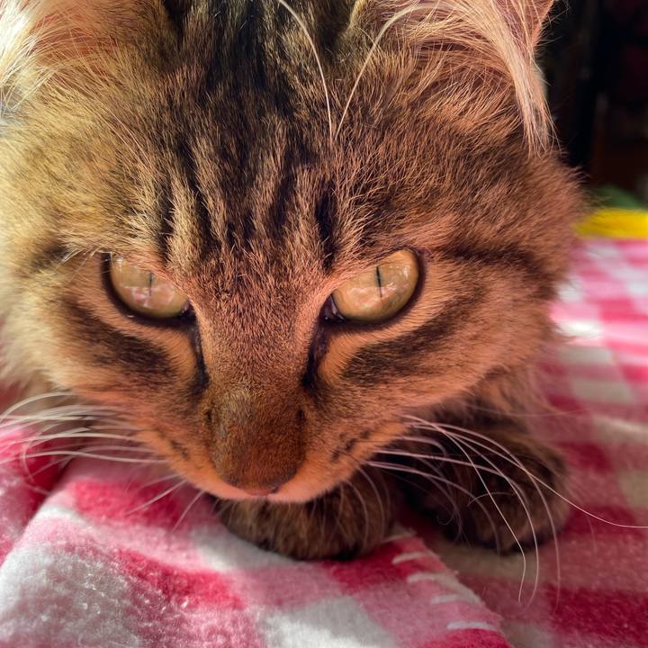 40b11337 e4cc 44bc bfe8 000eeaf42ff4 1674345652279