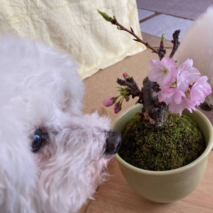 40b12f6f 4e63 45eb aee4 23c5985225e6 1743586197972