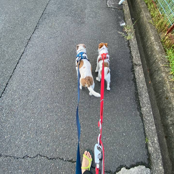 40b13eb2 25b2 4e2d 93d2 9ea37f510e98 1661121290274