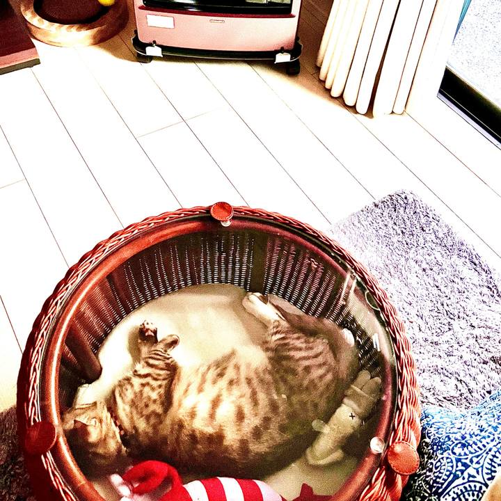 40b146e7 81b5 4e25 ac7d c2e9739f3f61 1673163916302