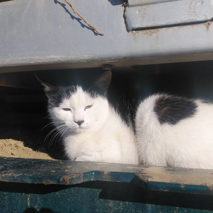 40b146f1 55be 4584 b49e a236eec92123 1578615075016