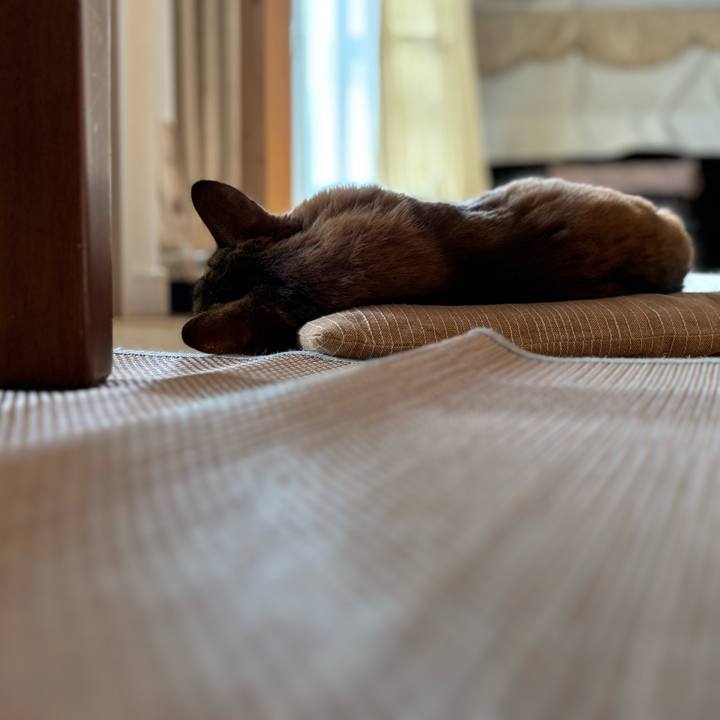 40b15113 b305 4b6a a7bd f3e7e2318349 1760139849639