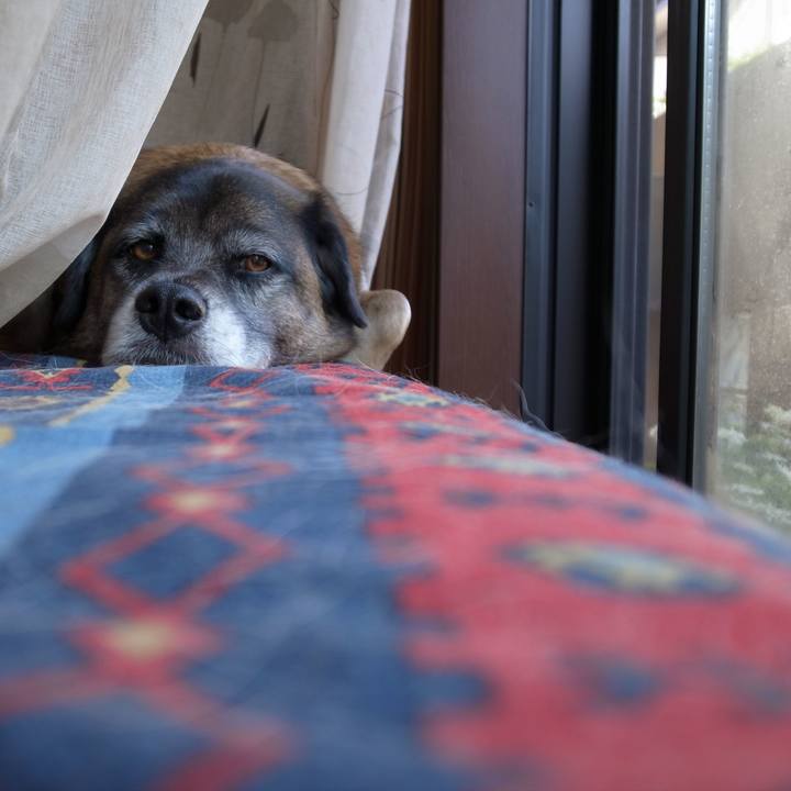 40b1525d 1b02 4dde a8bc 05fbf37d7801 1581902116477