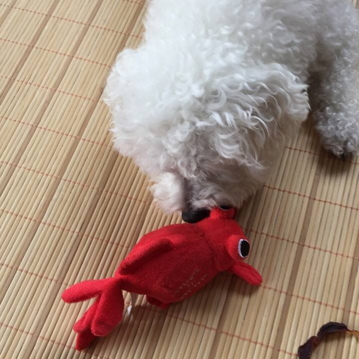 40b16895 af0c 492b 9cfd 12a36d73a080 1533352759784