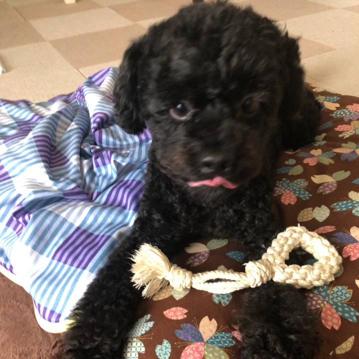 40b16b5e 3848 4107 8853 528ef87e9009 1564558028767