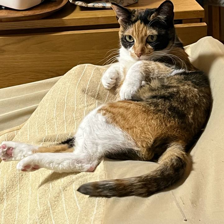 40b1bd0c ab6e 4a62 ab98 ac342d1f011e 1679926122891