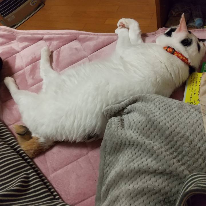 40b1cdc5 65a1 4cdf a00c 751539b251fa 1613126444709