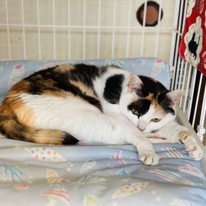 40b1d738 3947 433a 91ac 66dc838c60a3 1721265844662