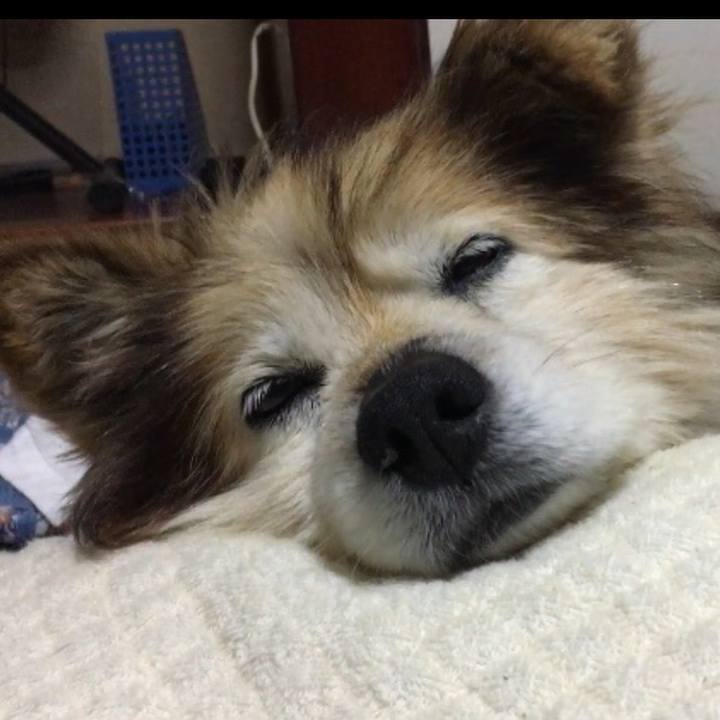 40b1e3b0 ed39 44d8 bf19 9b5a6d7df932 1603002011408