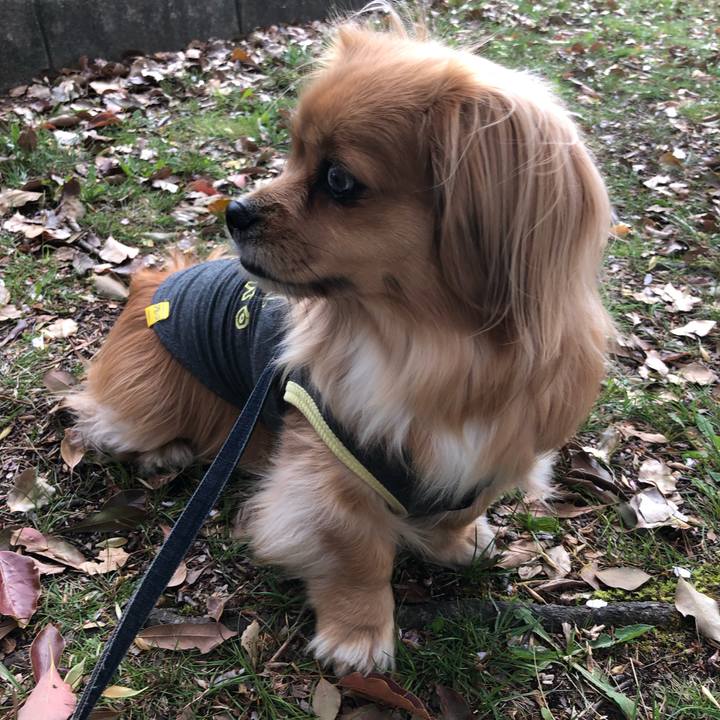 40b1e8b9 ba81 4376 ba63 2e1e84e54eab 1555456296726