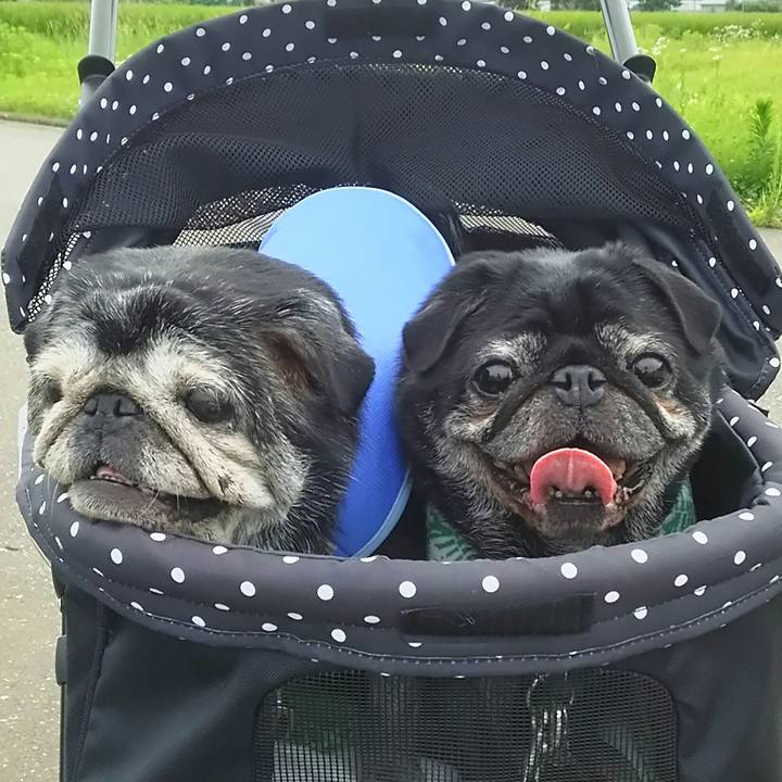 40b2115c 997f 4cc9 b1e3 3b5abb7893d3 1532692703674