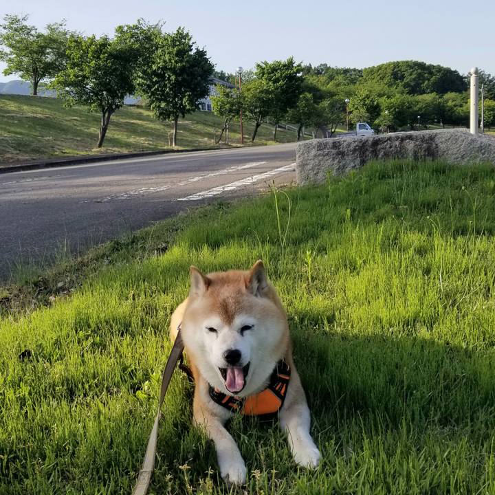 40b2290b 191c 4b05 9852 27b77541ccd1 1715932752893