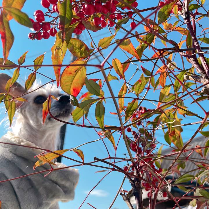 40b250a0 5321 4d57 97f3 ddbe552f3f8c 1766981786574