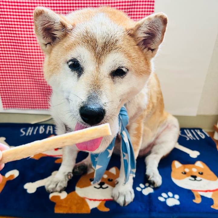 40b25d3f a318 4e71 a6ce 206d8772ff9d 1756179314236