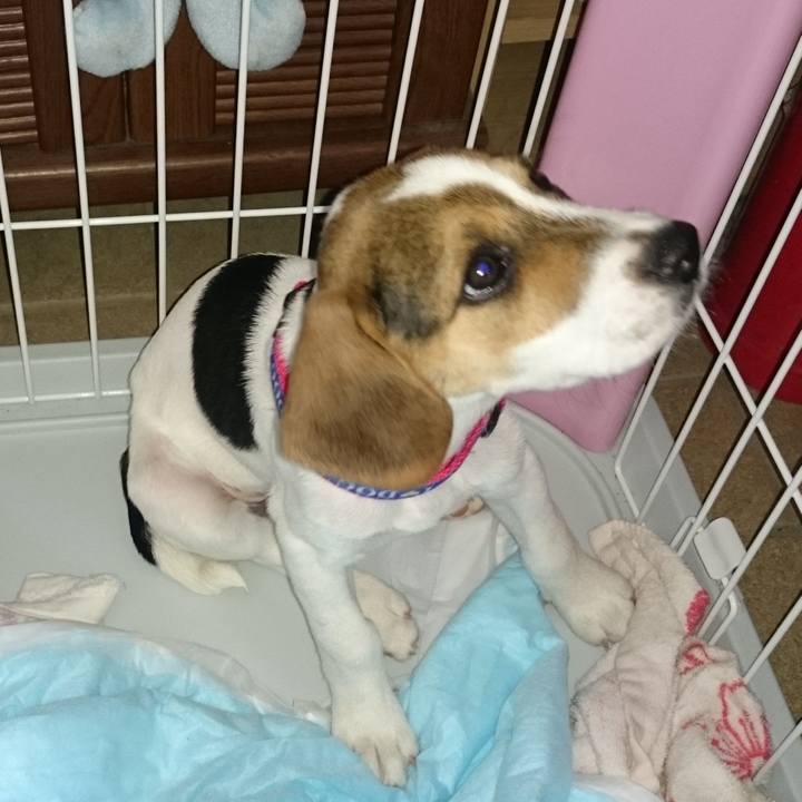 40b2798a 01f0 4878 8ecf 0c4ea41b4092 1562663724817