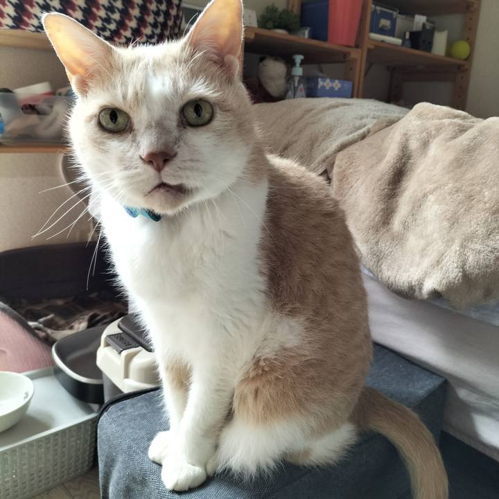 40b2a82a 62b9 45e0 bbc2 5d96c0ba1917 1652482586680