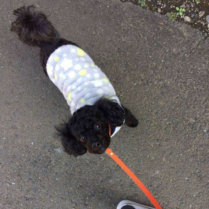 40b2a9a4 09f5 4756 b448 3cf3705d0bef 1510919075466