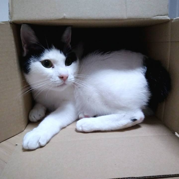 40b2cdc5 336a 45a3 a7c2 aedf4c97a735 1549278690550