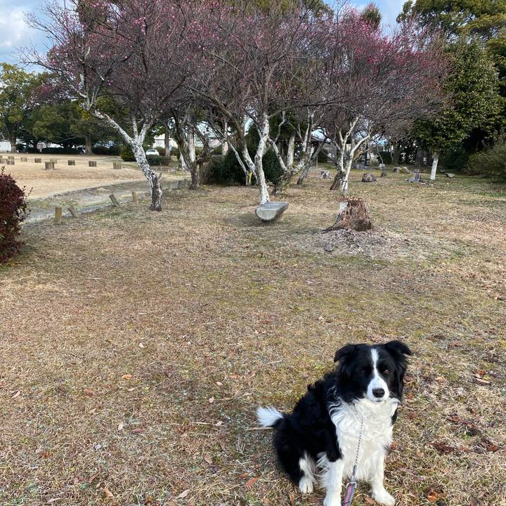 40b2d996 50bf 4dbc 9687 1fad2556146b 1643935790716