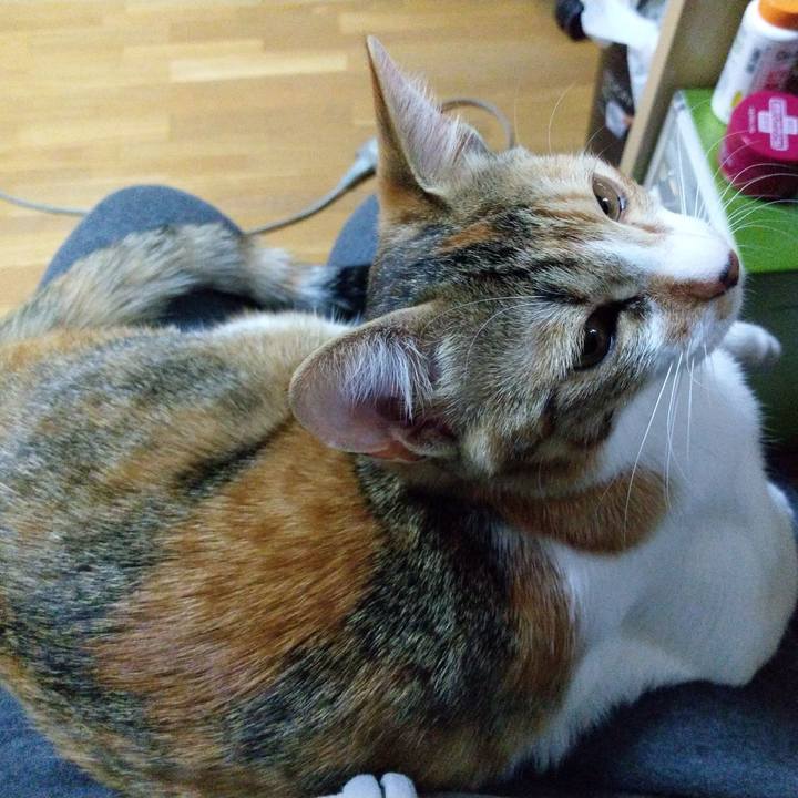 40b2de7e 3c39 454a a5ce b4b354797112 1549752381138